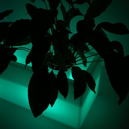 Lahelivo oplaadbare lichtgevende plantenbak