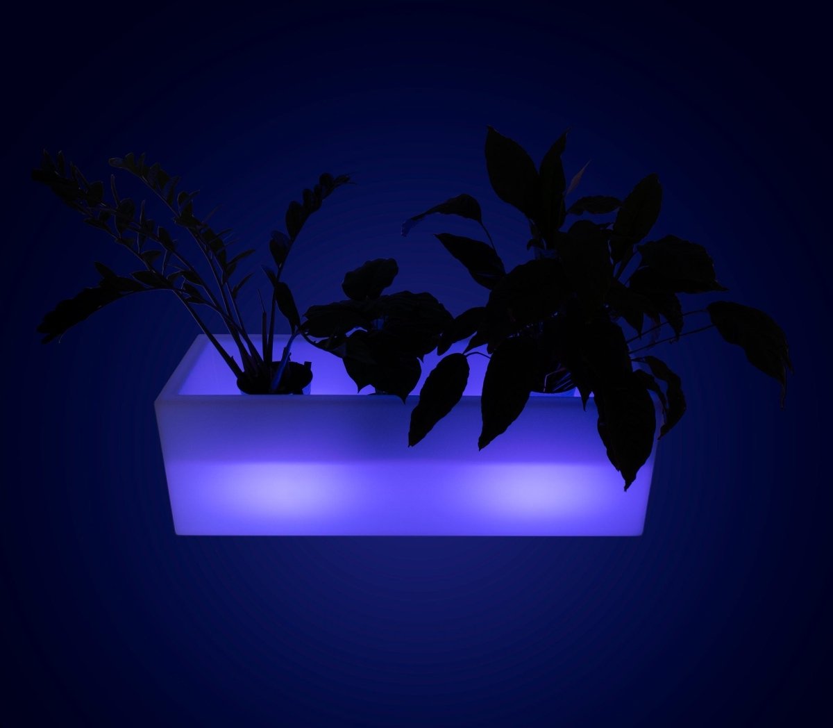 Lahelivo oplaadbare lichtgevende plantenbak