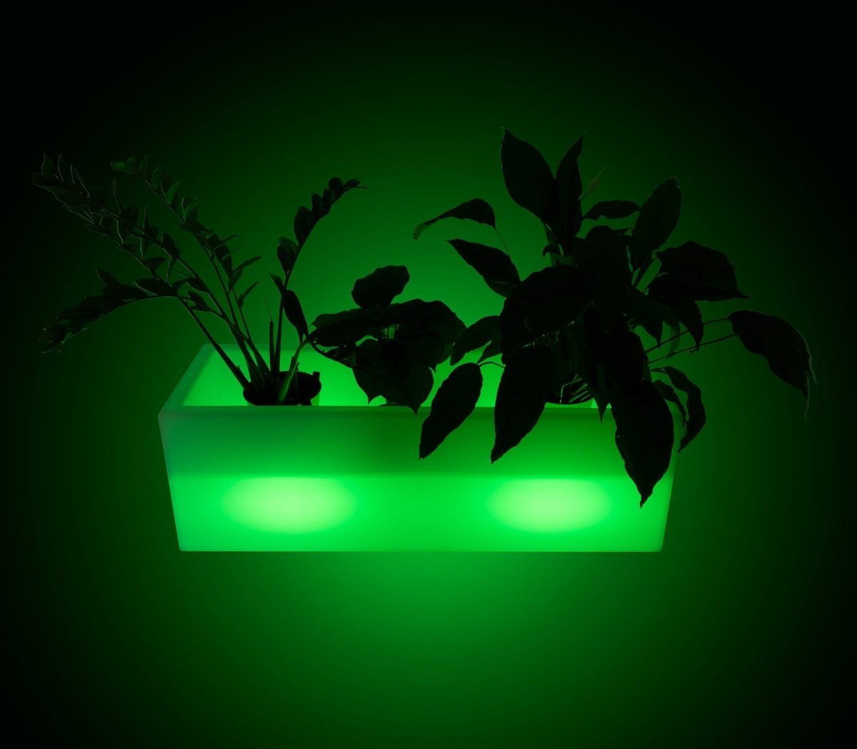 Lahelivo oplaadbare lichtgevende plantenbak