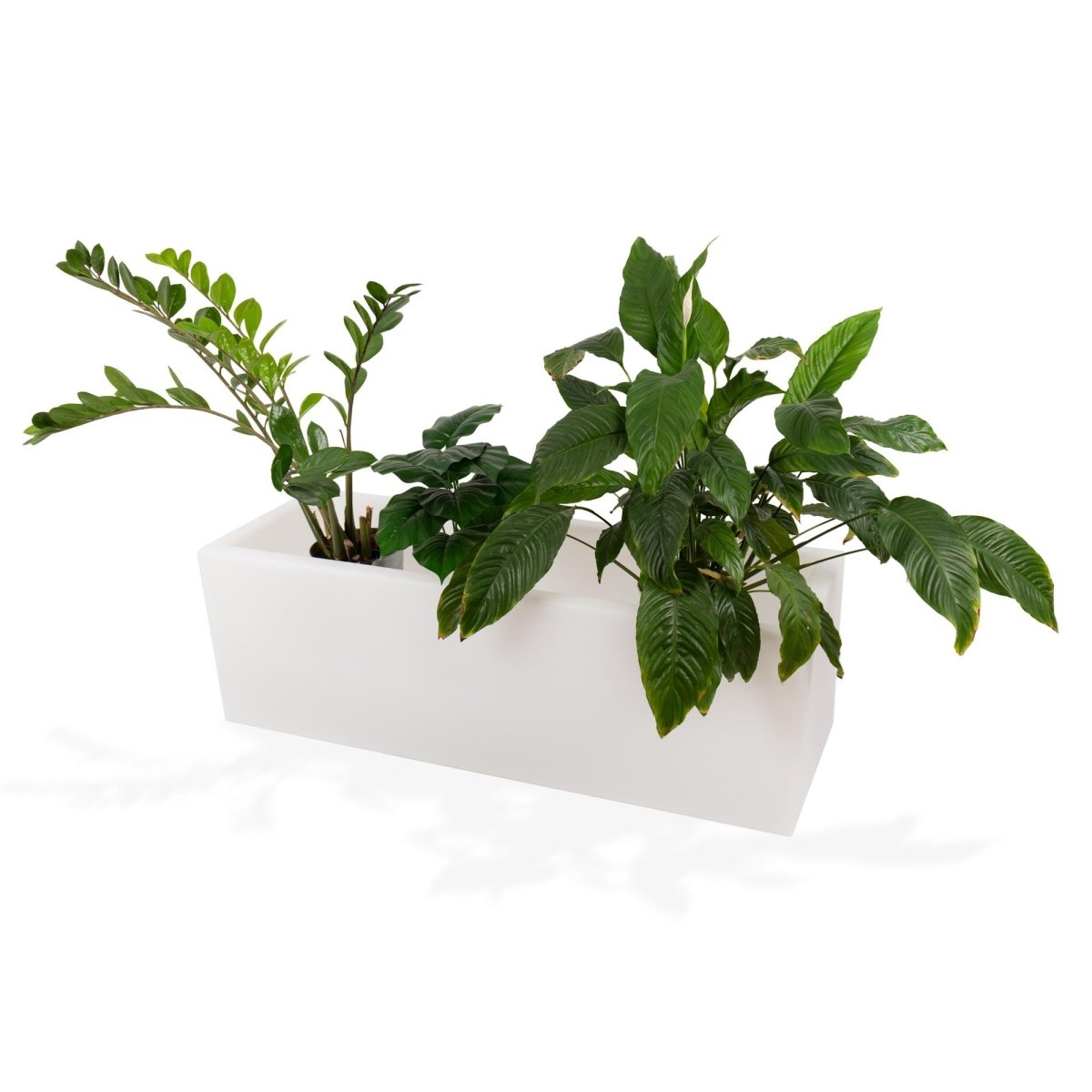 Lahelivo oplaadbare lichtgevende plantenbak