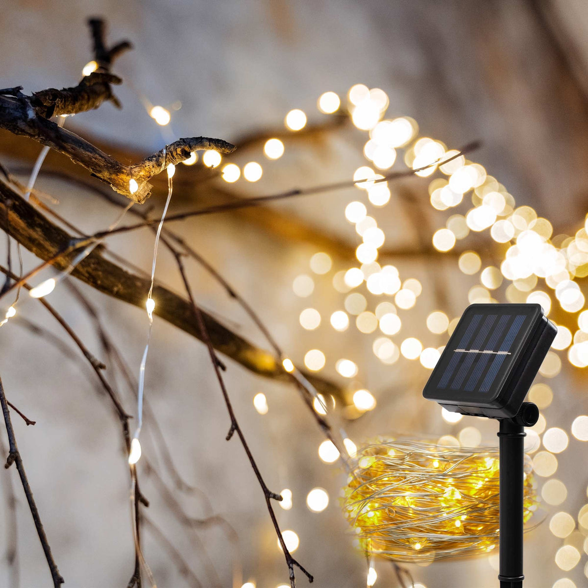 Cacalivo solar lichtsnoer