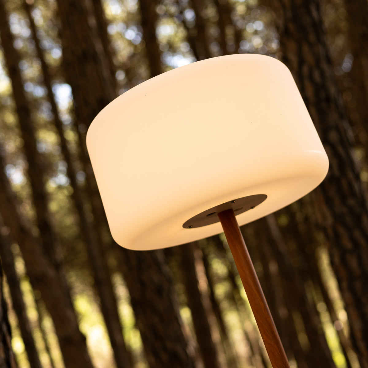 Zetinano solar vloerlamp