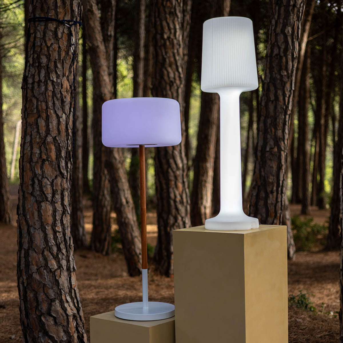 Visemano oplaadbare vloerlamp