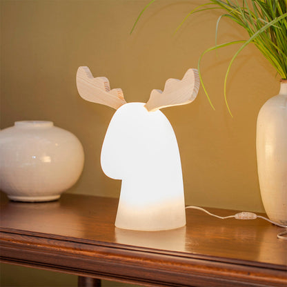 Nulilaro solar kerstdecoratie