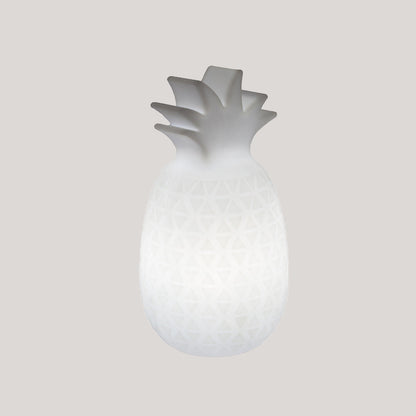 Cemosaro oplaadbare decoratieve lamp