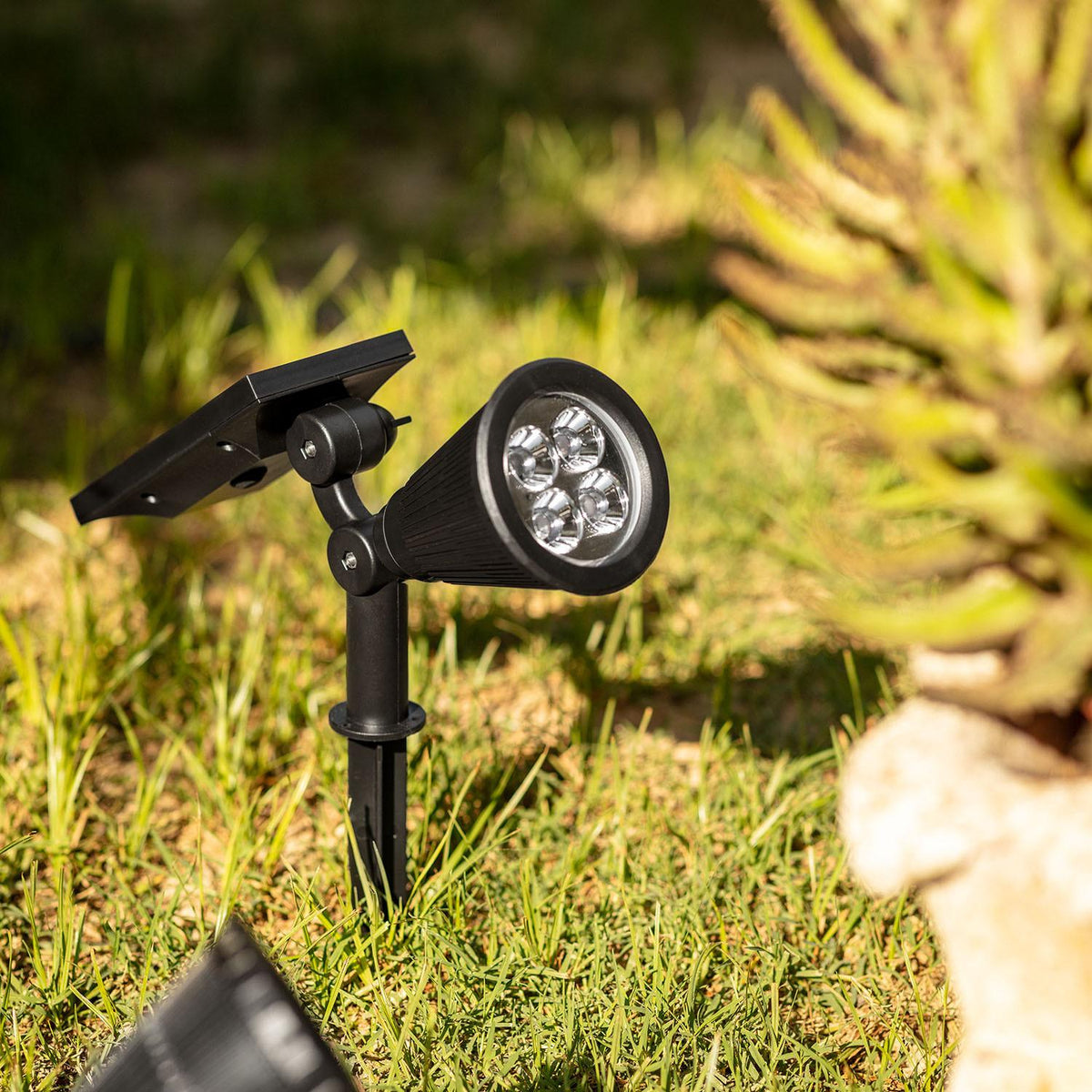 Meilavo solar prikspot