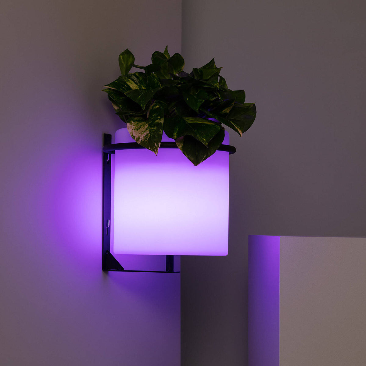 Mirano oplaadbare buitenwandlamp