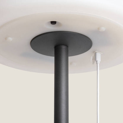 Larsano solar vloerlamp buiten