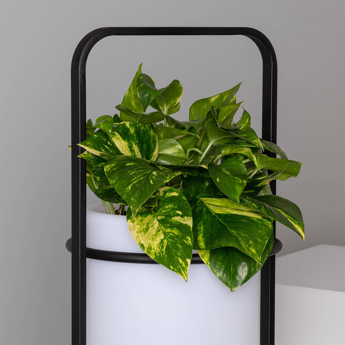 Corivo oplaadbare vloerlamp buiten